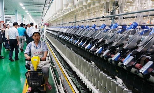 安徽省安庆市2020年9月第一周轻工纺织食品项目汇总与服务解析